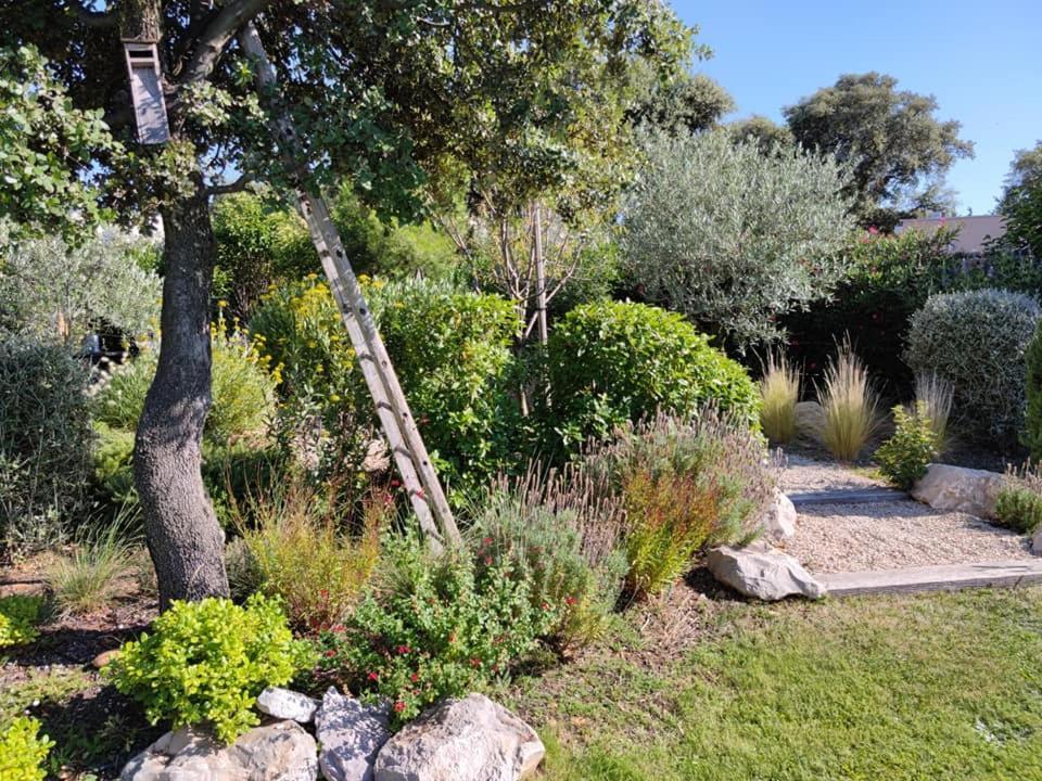 Bed and Breakfast La Mathilde Villeneuve-lès-Avignon Exteriér fotografie